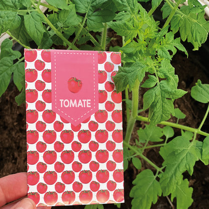 Tomaten Samen selber ziehen