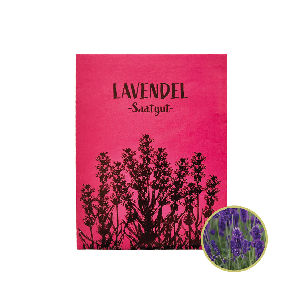 Lavendel Saatgut für deinen Garten.
