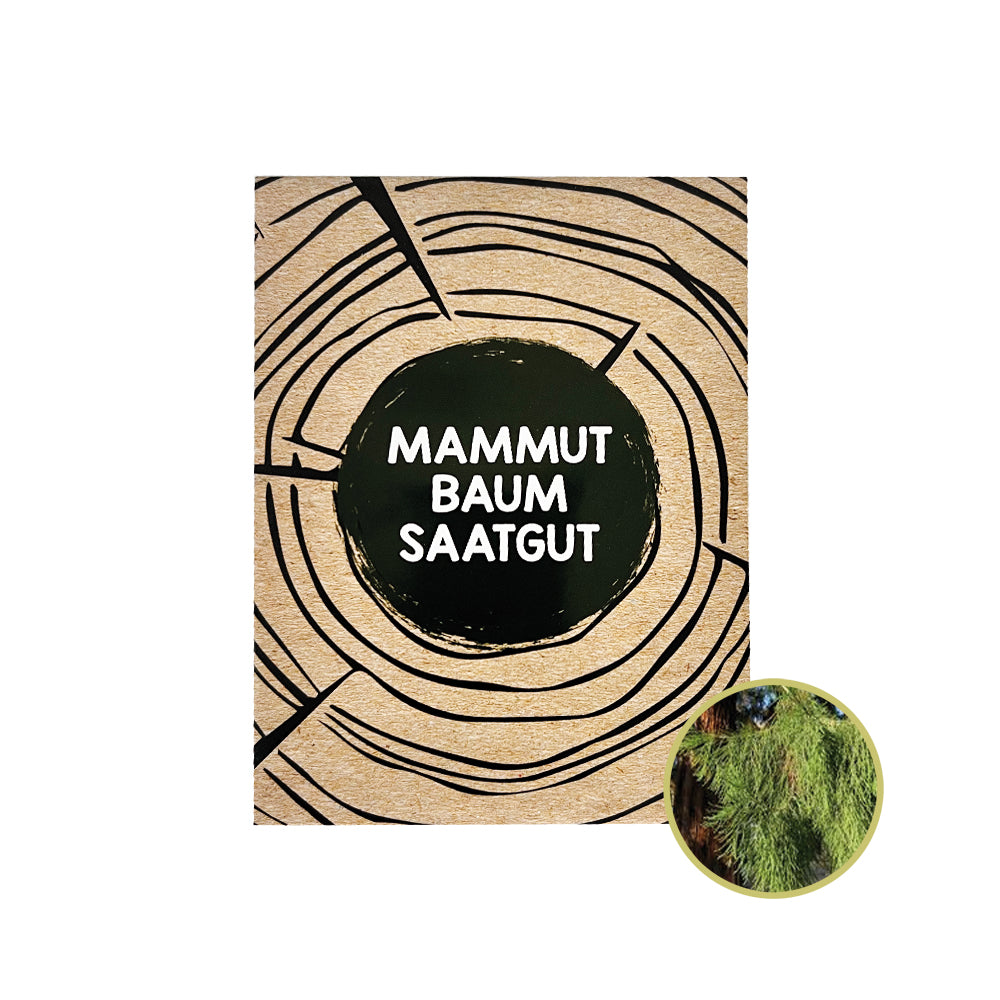 Züchte deinen eigenen Riesenbaum