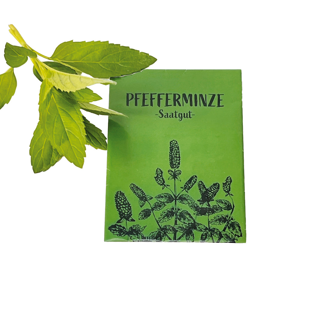 Pfefferminz-Samen