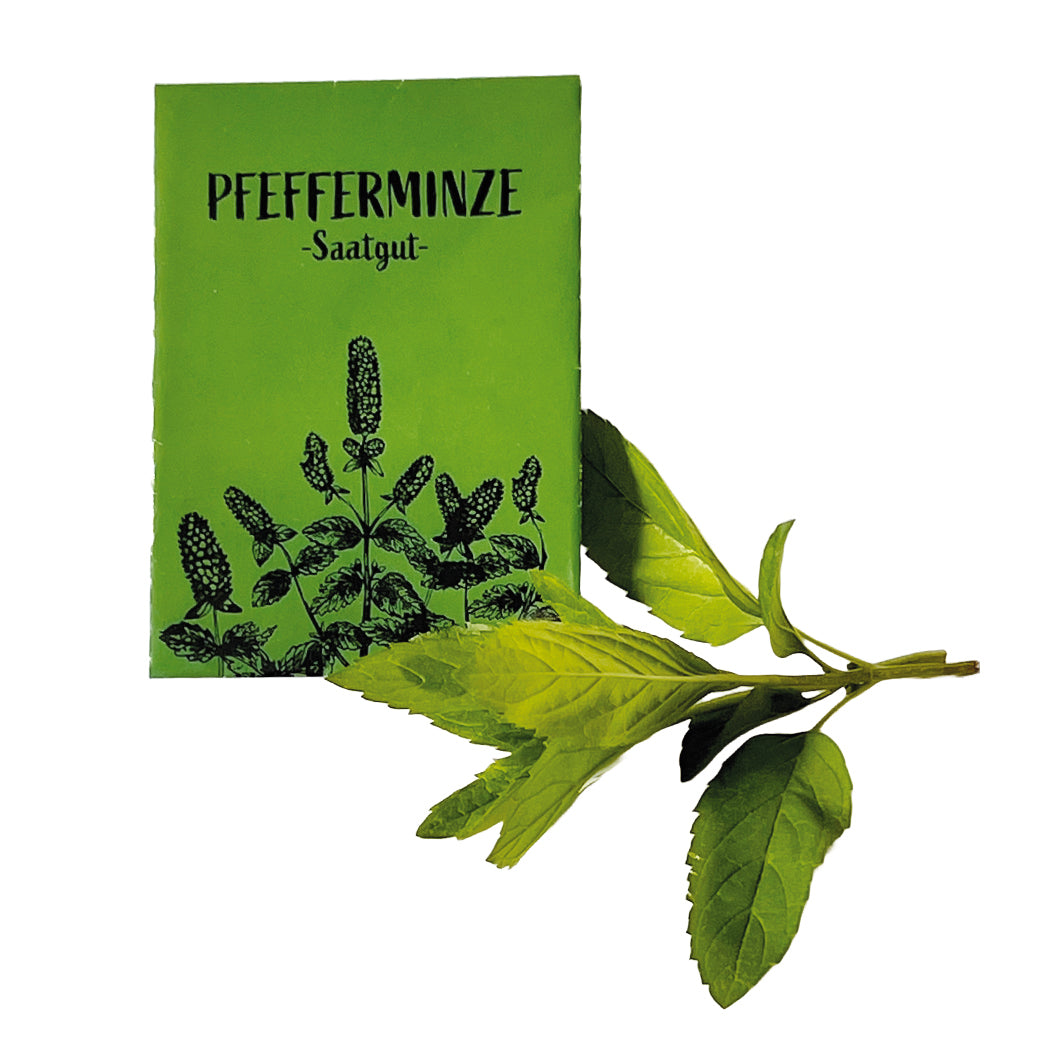 Pfefferminz Sattüte mit Minze