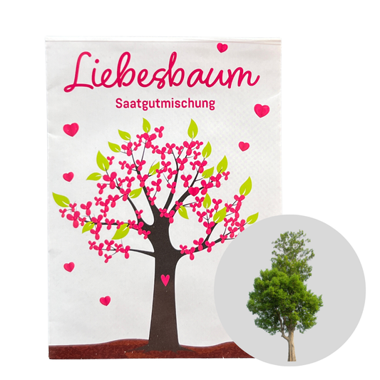 Liebesbaum – Pflanze deinen eigenen Herzbaum und schenke Liebe, die wächst