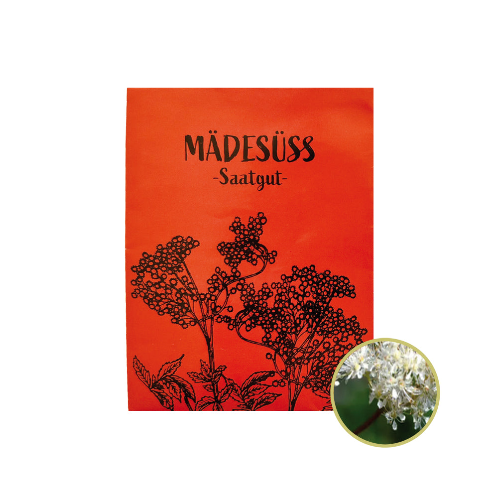 Echtes Mädesüß Saatgut für deinen Garten. 