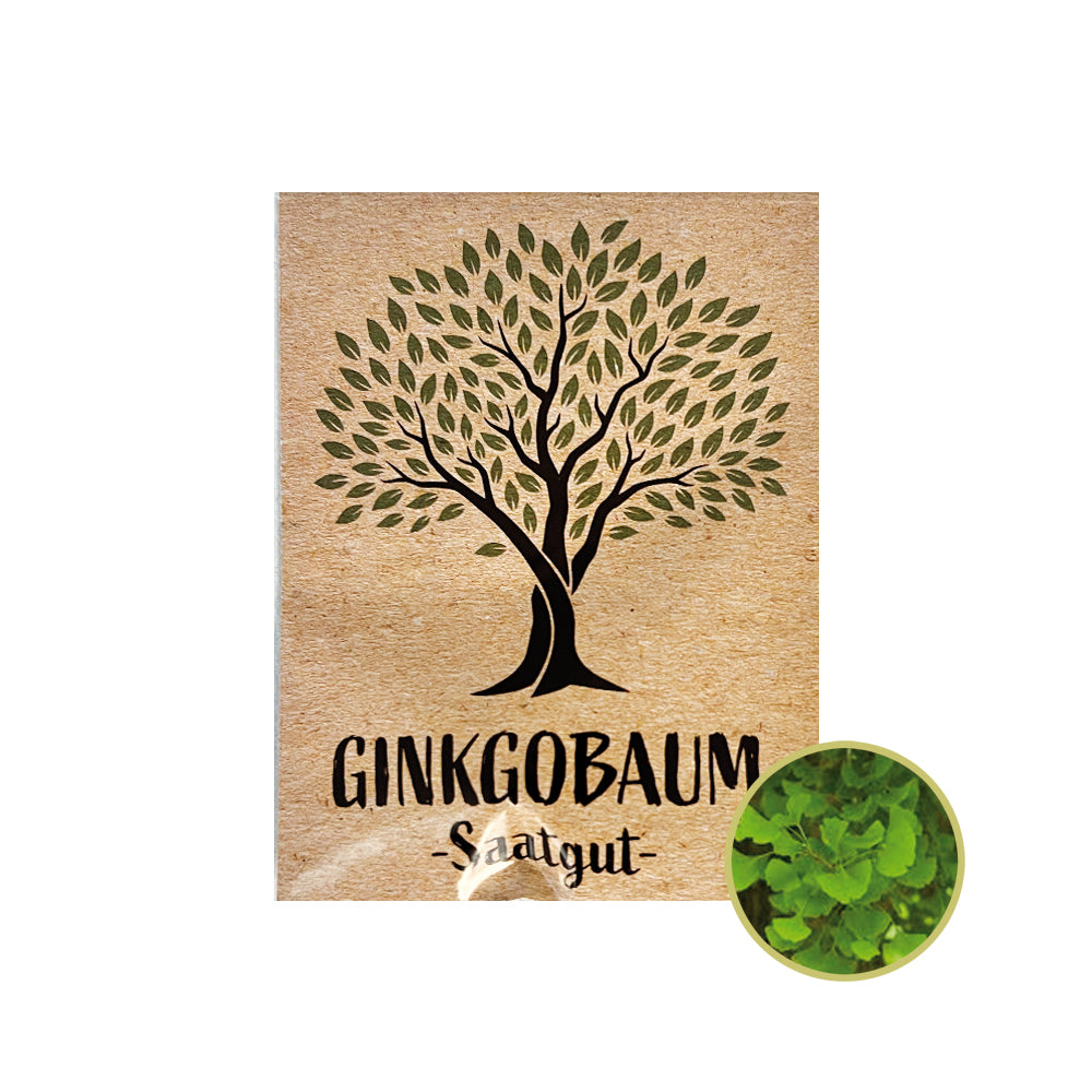 Entdecke das langlebige Ginkgo biloba 