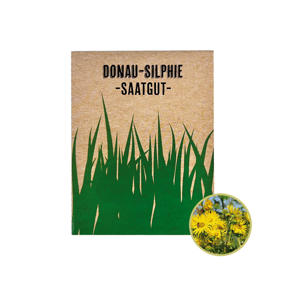 Silphie Saatgut für eine widerstandsfähige Pflanze im Garten