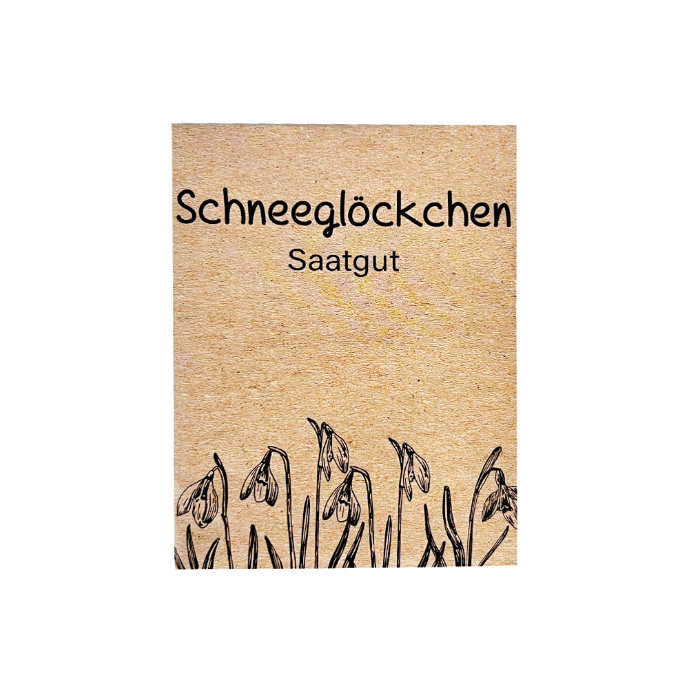 Frühlingsboten für deinen Garten – Schneeglöckchen Samen zum Pflanzen