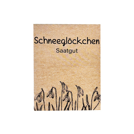 Frühlingsboten für deinen Garten – Schneeglöckchen Samen zum Pflanzen