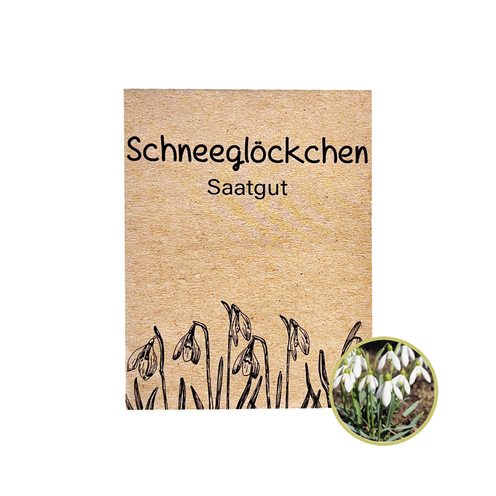Mit Schneeglöckchen Samen holst du den Frühling in deinen Garten.