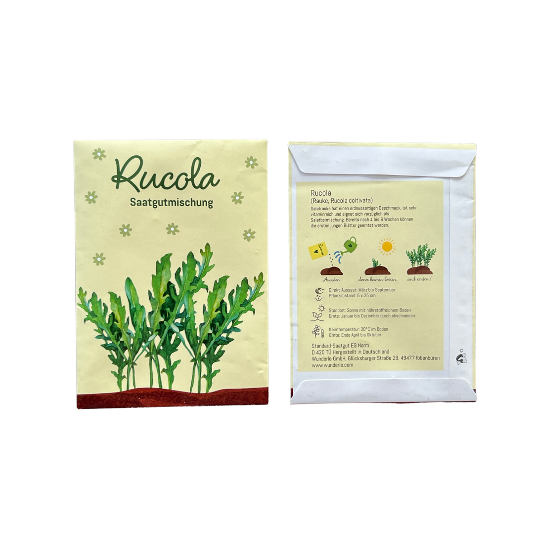 Rucola anzucht