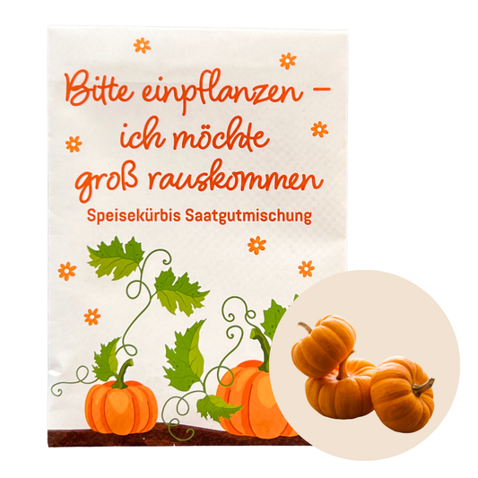 Moschus Kürbis Samen