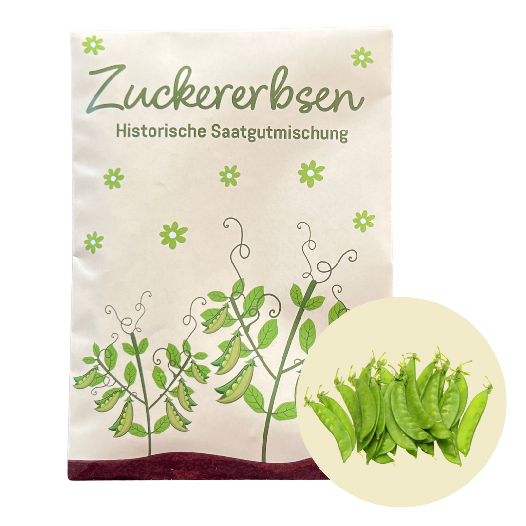 Zuckererbsen pflanzen- einfach und effektiv