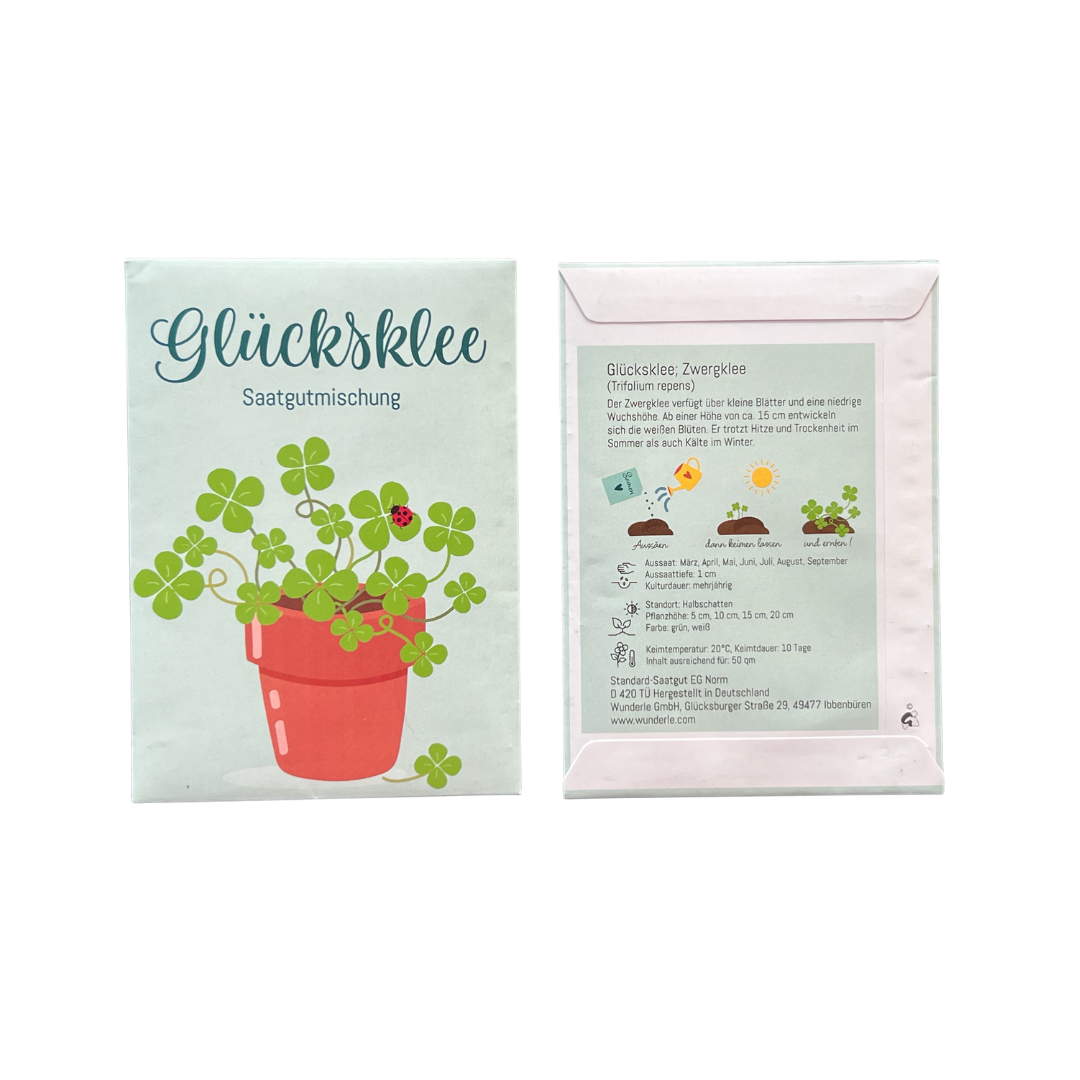 Glücksklee Anzucht