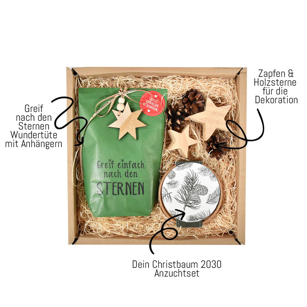 Dein Tannenbaum 2030: Das perfekte Geschenkset Weihnachtsbox