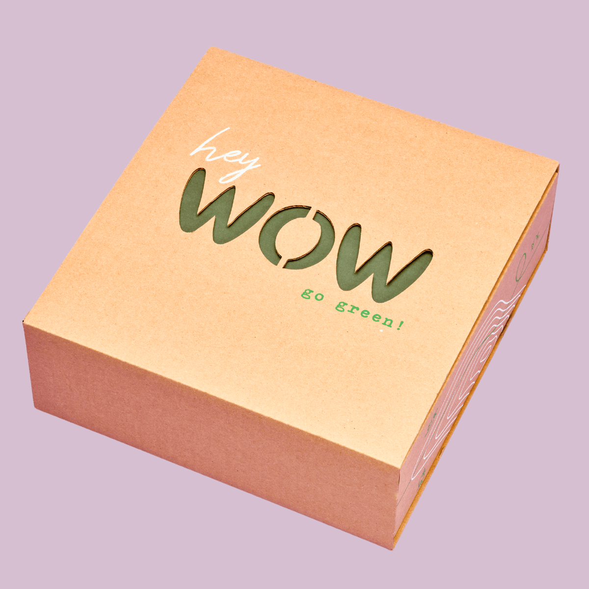 Christbaum Anzucht Set Geschenkbox Verpackung