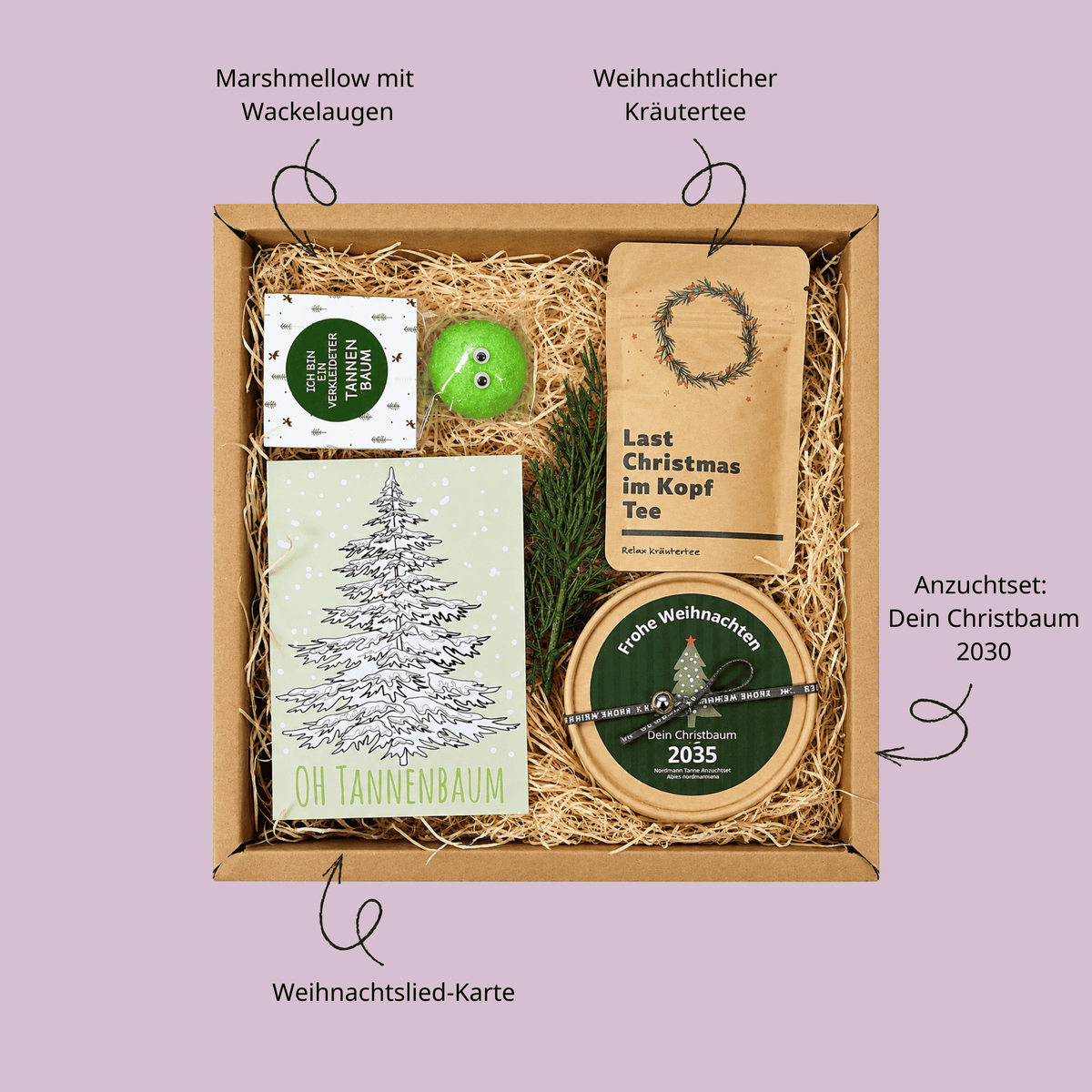 Christbaum Anzucht Set Geschenkbox mit Anzuchtset, Kräutertee und lustigem Marshmallow
