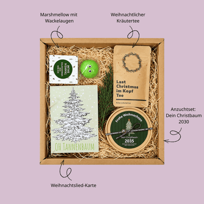Christbaum Anzucht Set Geschenkbox mit Anzuchtset, Kräutertee und lustigem Marshmallow