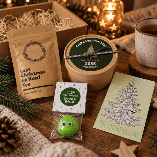 Christbaum Anzucht Set Geschenkbox mit Tee und Marshmellow zum Naschen
