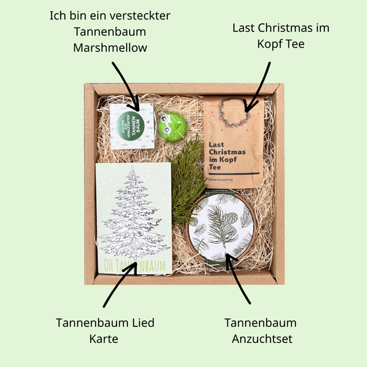 Christbaum Anzucht Geschenk Box