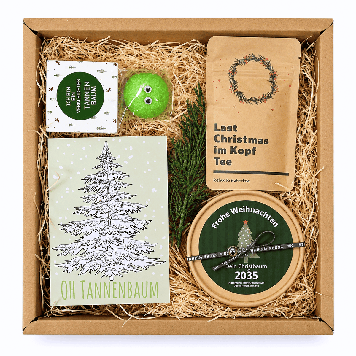 Christbaum Anzucht Set Geschenkbox