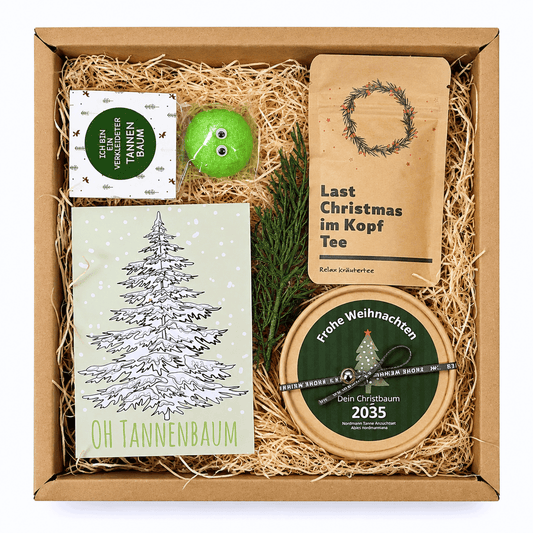 Christbaum Anzucht Set Geschenkbox