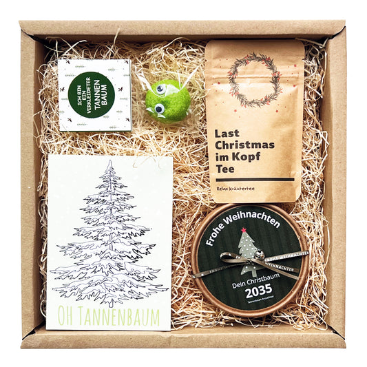 Christbaum Anzucht Geschenk Box
