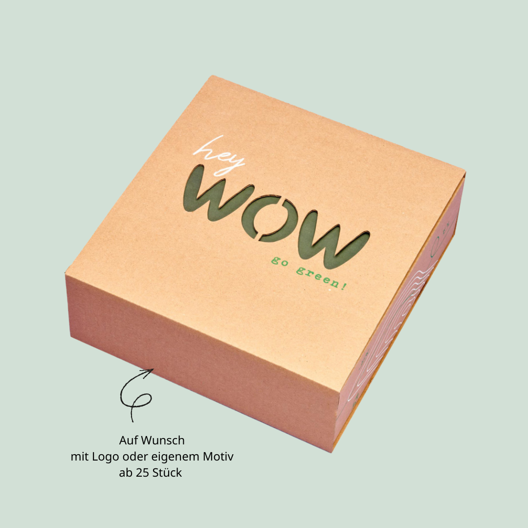 Onboarding Box mit Logo