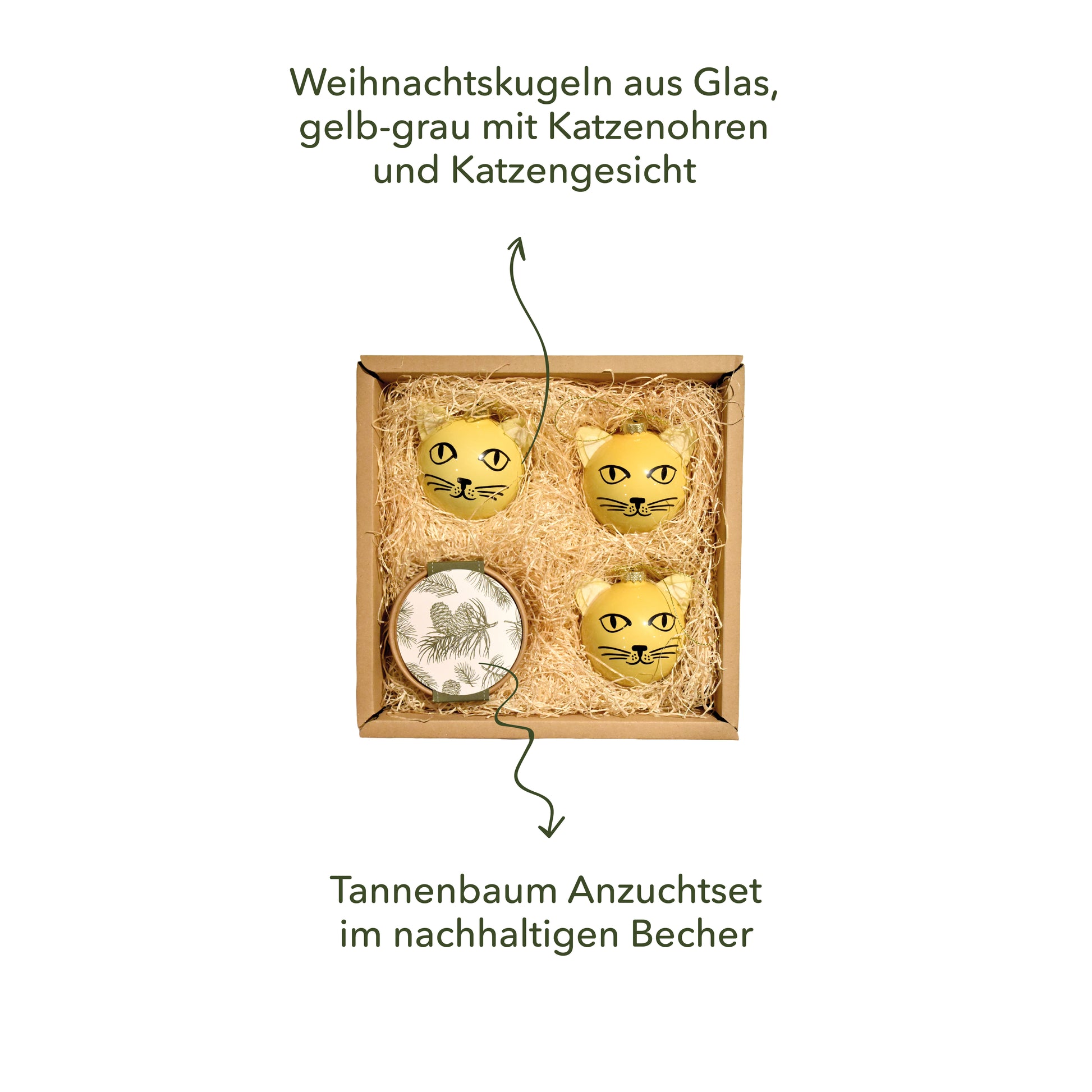 Katzenweihnachtsbaum Geschenk Box für Katzenliebhaber- Inhalt