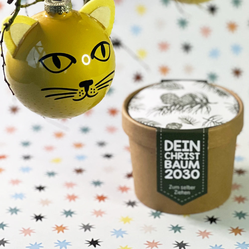 Katzenweihnachtsbaum Geschenk Box für Katzenliebhaber