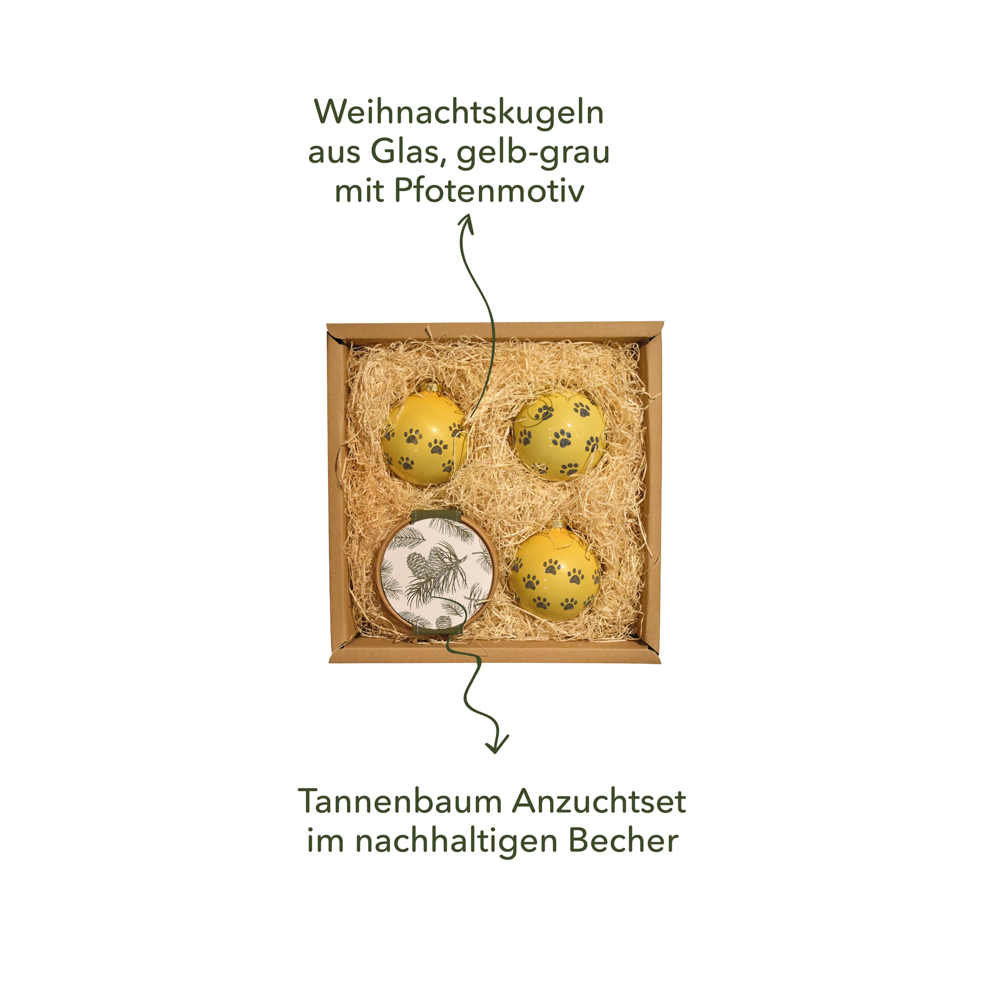 geschenkideen für hunde