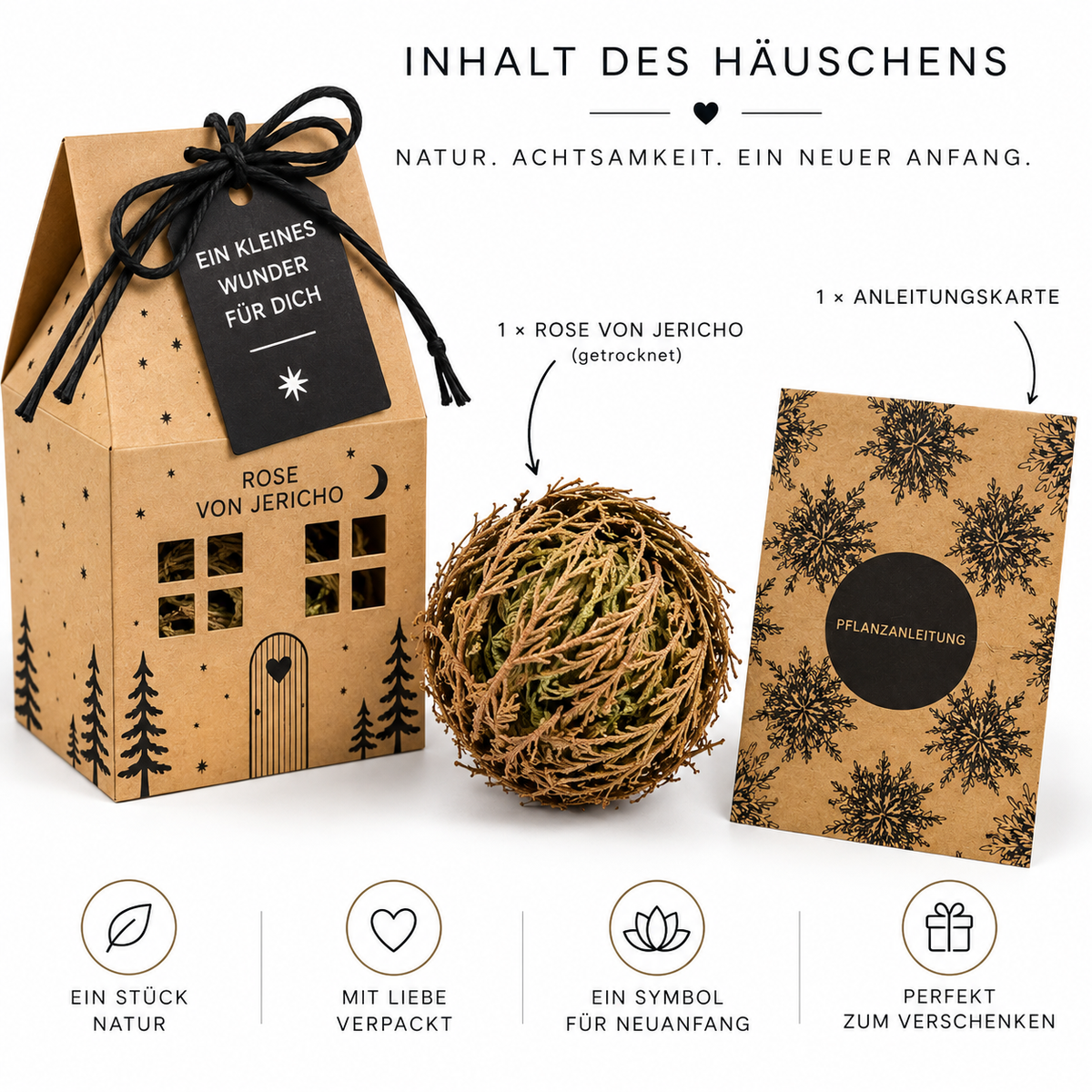 Inhalt des Weihnachtshauses mit Rose von Jericho
