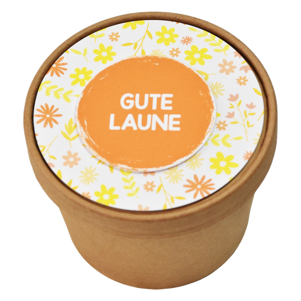 Blumenwiesen Samen: Dein Rezept für gute Laune