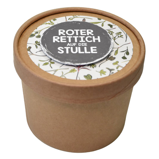 Rettich Samen – Frischer roter Rettich für deinen Salat oder auf die Stulle!