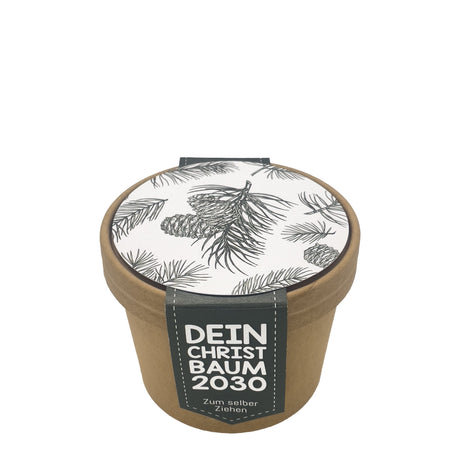Kleiner Weihnachtsbaum im Topf