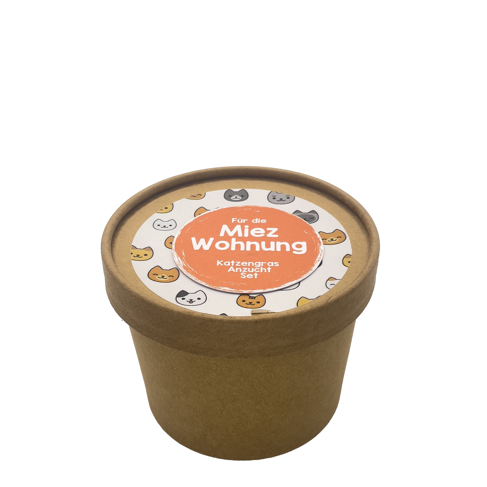 Miezwohnung - Katzenminze Anzucht Set