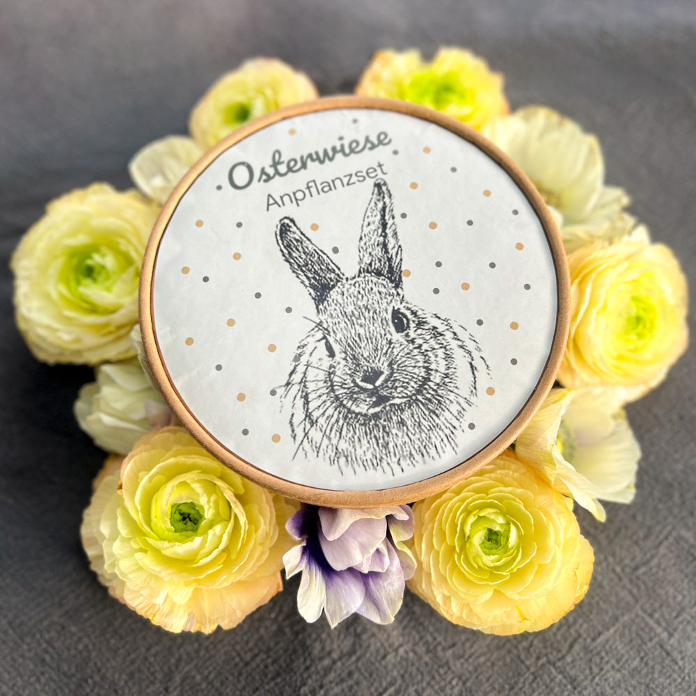 Ostergeschenk: Osterwiese Anpflanzset