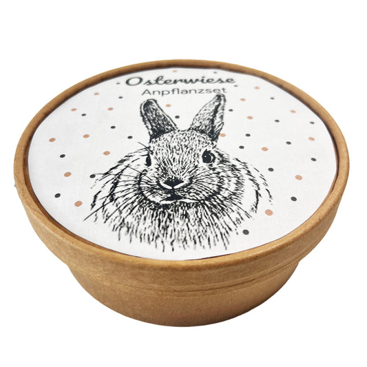 Die Osterwiese XL für deine Liebsten!&nbsp; Ostergeschenke mit Herz&nbsp;