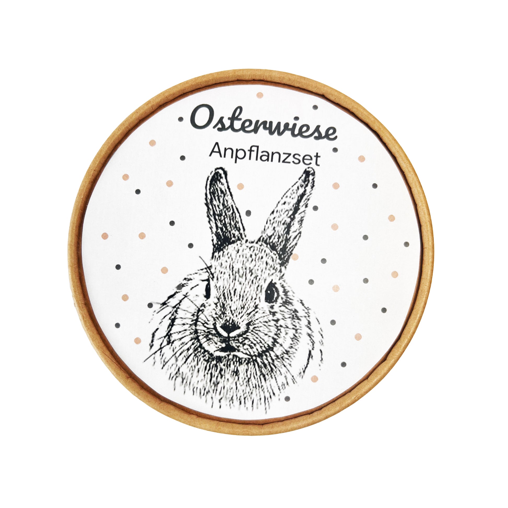 Osterwiese Anpflanzset Draufsicht