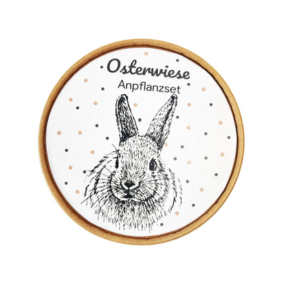 Osterwiese Anpflanzset Draufsicht