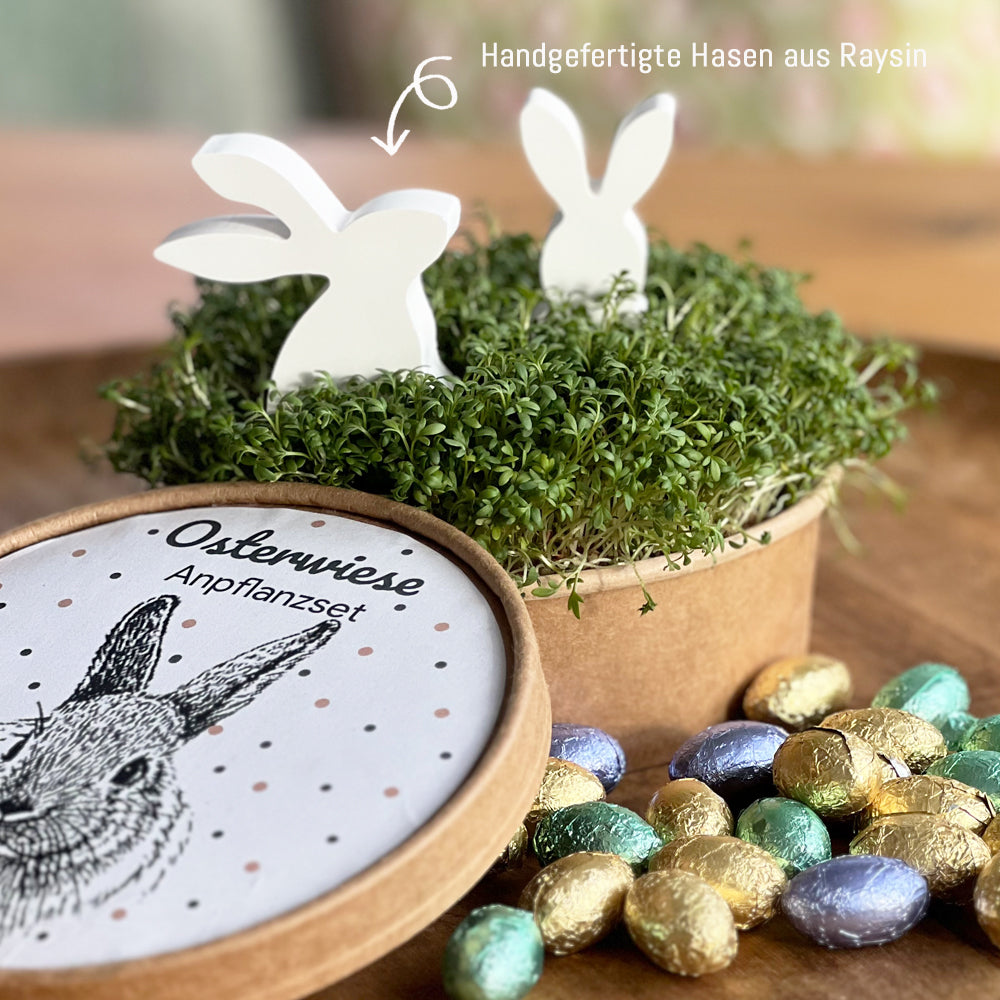 Osterwiese XL - Ostergeschenke mit Kresse & Hasen!