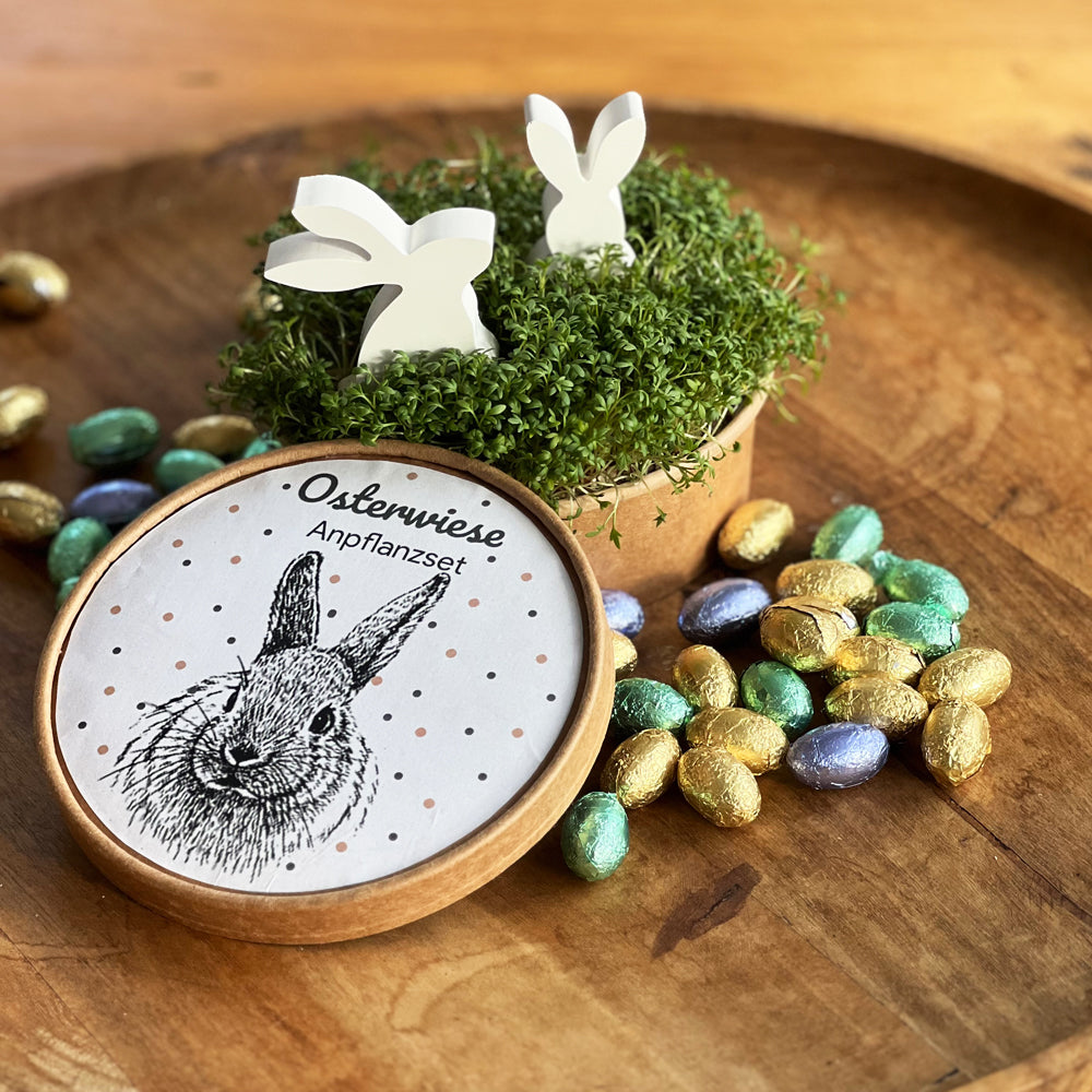 Osterwiese Ostergeschenk mit Kresse zum selber ziehen