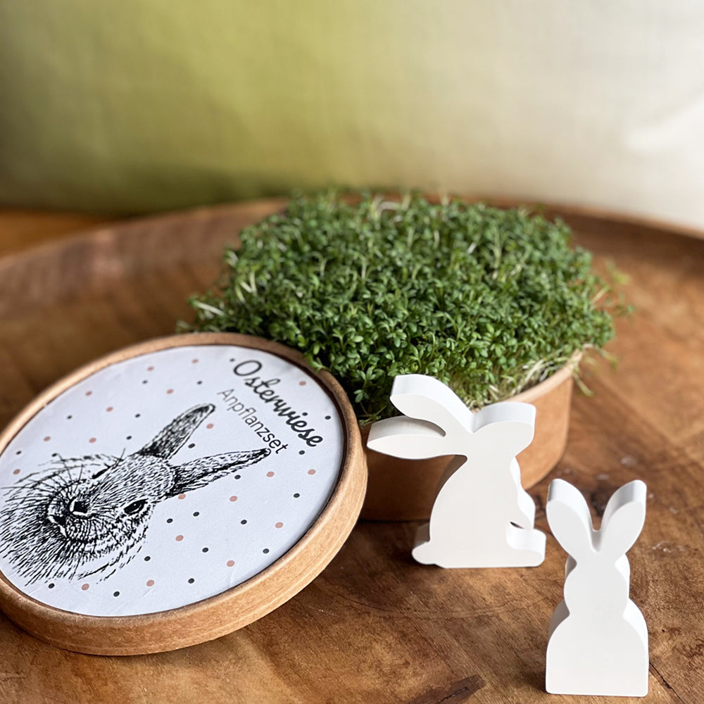 Osterwiese XL - Ostergeschenke mit Kresse & Hasen!