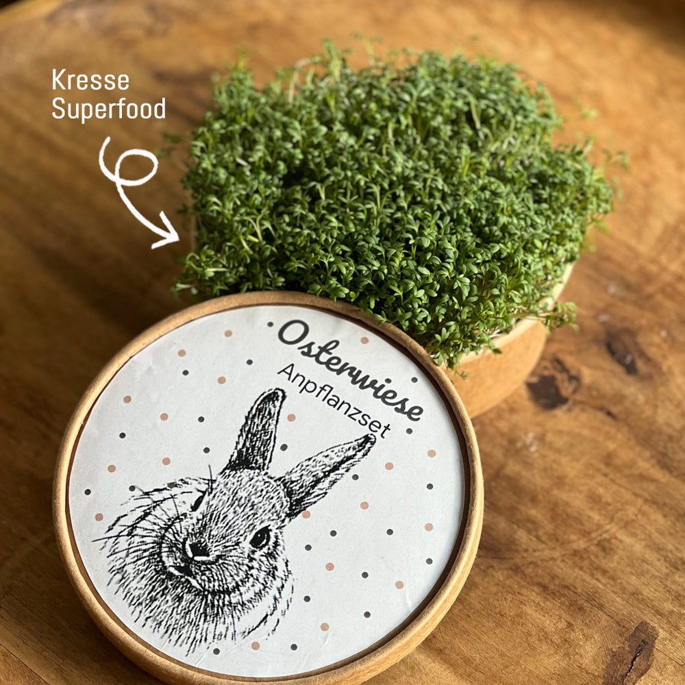 Osterwiese XL - Ostergeschenke mit Kresse & Hasen!