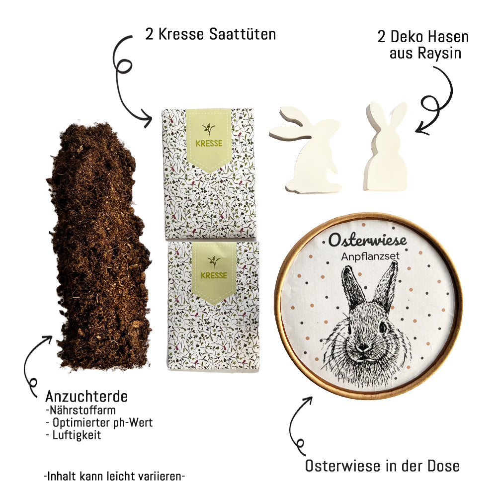 Osterwiese XL - Ostergeschenke mit Kresse & Hasen!