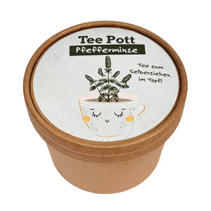 Pfefferminze Tee pflanzen, Tee Poot mit Tee zum selberziehen im Topf
