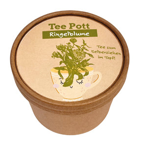 Ringelblume als Tee, Tee selberziehen im Topf