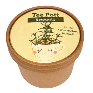 Tee anpflanzen mit unserem Tee Pott Rosmarin Anzucht Set