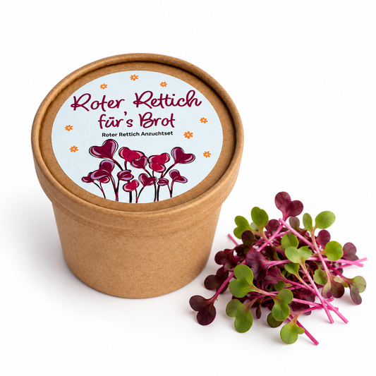 Rettichsamen Microfood