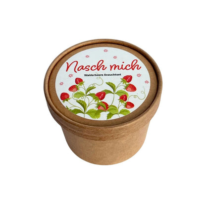 Walderdbeeren anpflanzen, süßer Sommer direkt von der Fensterbank