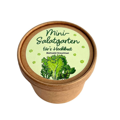 Mini Salatgarten Anzucht Set, Salat auf der Fensterbank ganz einfach selbst anbauen