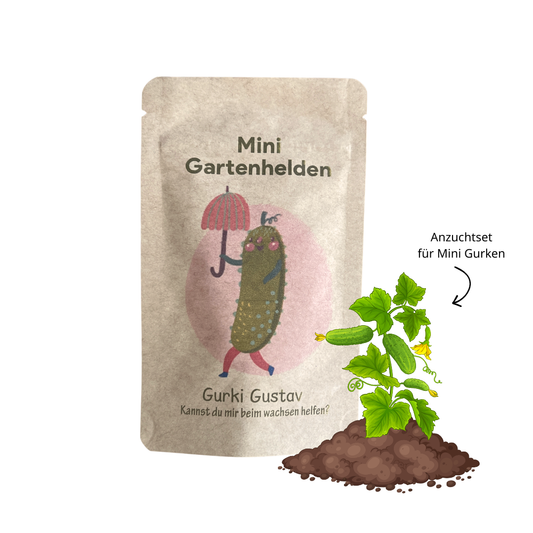 Gurken Anzucht Set – Snack Gurken pflanzen leicht gemacht